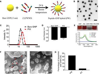 The Modulatory Activity of Tryptophan Displaying Nanodevices on Macrophage Activation for Preventing Acute Lung Injury